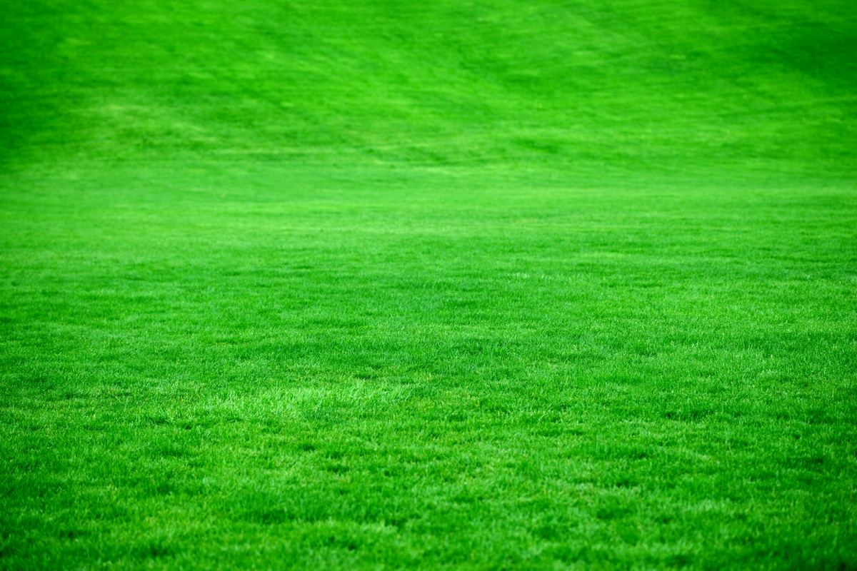 A neat green lawn